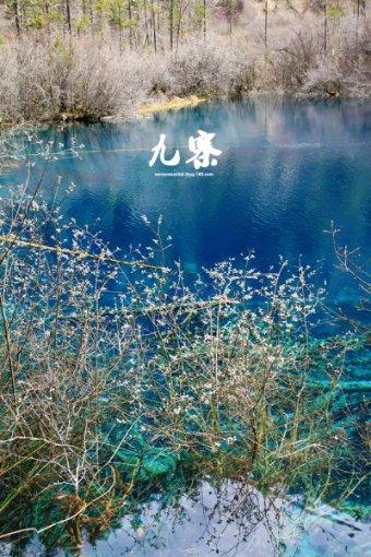 经常熬夜是否会变笨？
